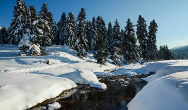 Ελάτη-Περτούλι: Ο απόλυτος χειμερινός προορισμός- πηγή:traction.gr